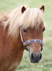 Royalty’s Brazen Beauty