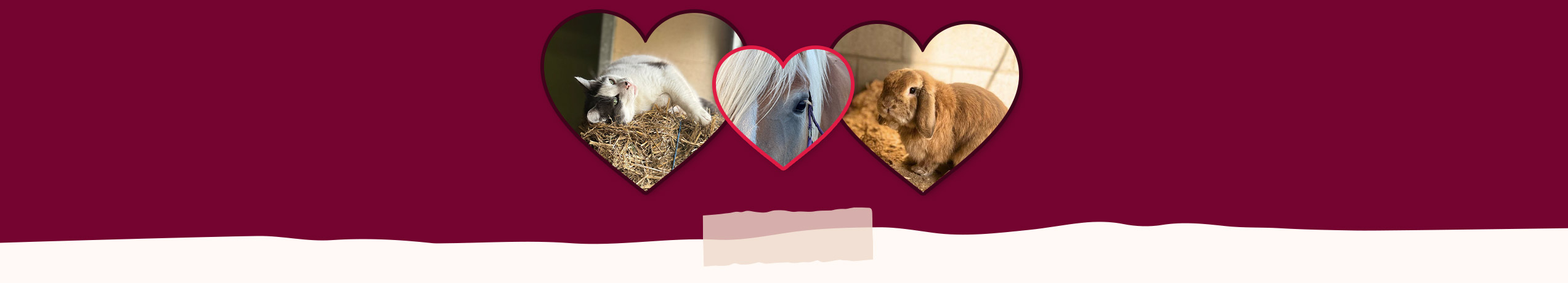 WETRA Donation Matching