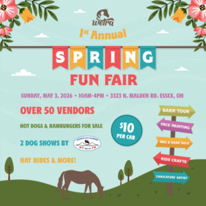 Spring Fun Fair
